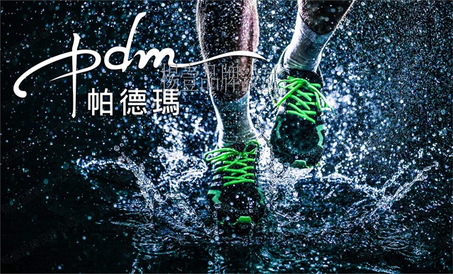 帕德瑪健身品牌形象設計