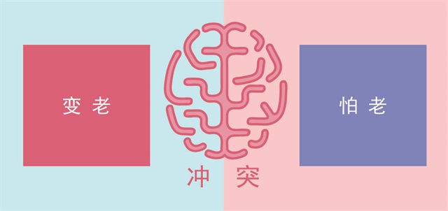 CBD家居品牌全案策劃