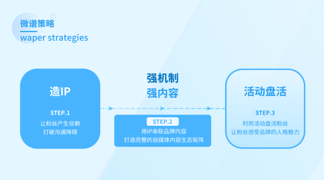 lifespace益生菌品牌策劃