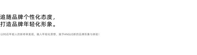 安格斯美容儀器品牌全案策劃設計