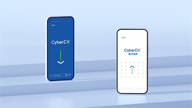 賽訊信息品牌全案策劃設計