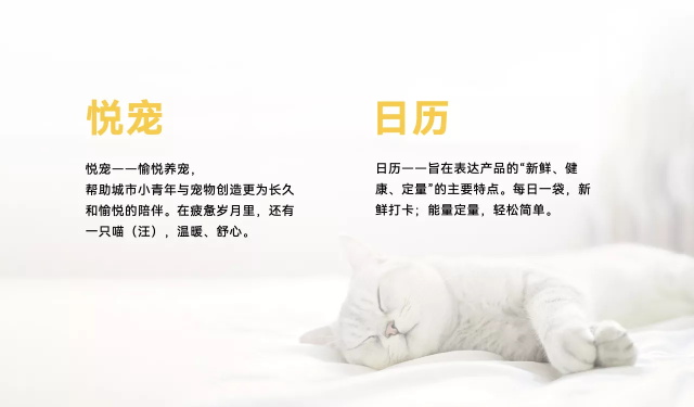 悅寵日歷寵物食品品牌策劃