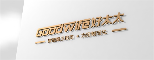 好太太電器品牌策劃