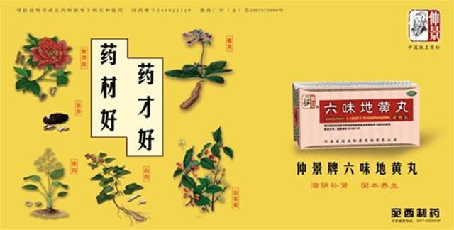 仲景牌六味地黃丸品牌策劃