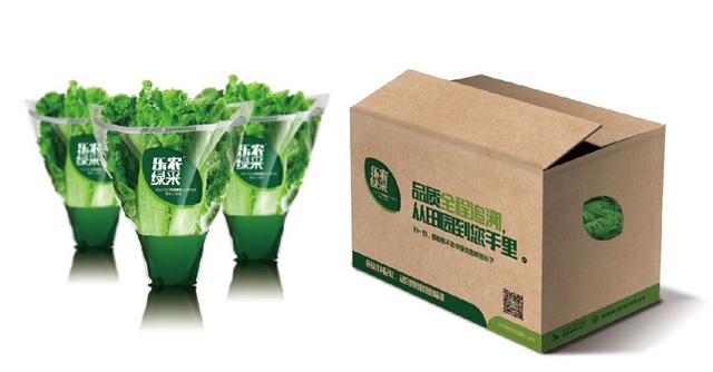 樂農集團品牌全案營銷策劃