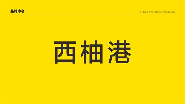 鄭州佳田西柚港品牌全案策劃