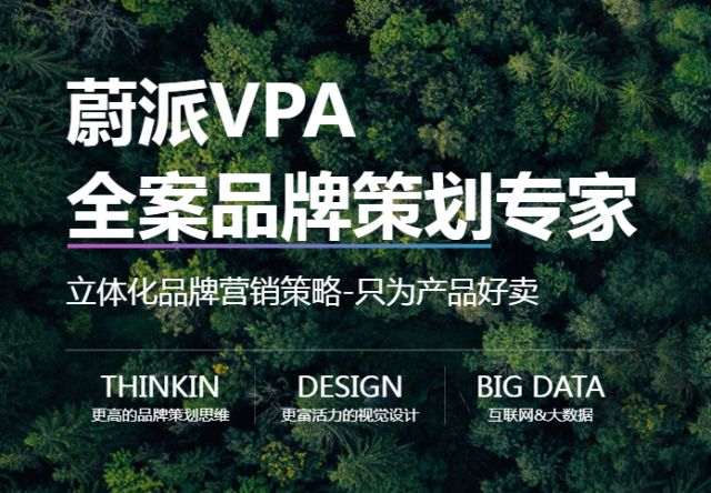 上海蔚派VPA品牌策劃