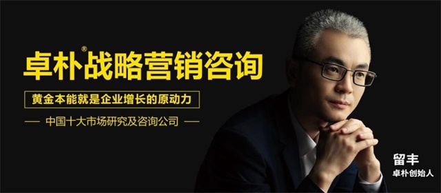 卓樸戰略營銷咨詢