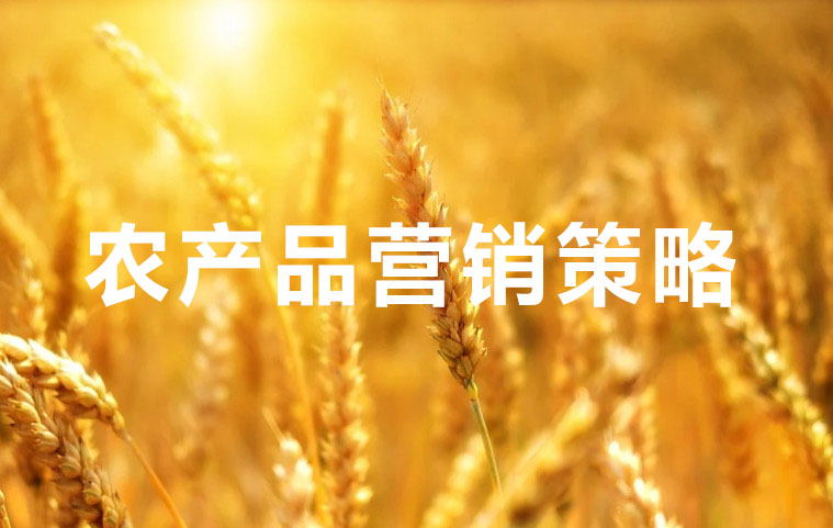 農產品營銷策略方案