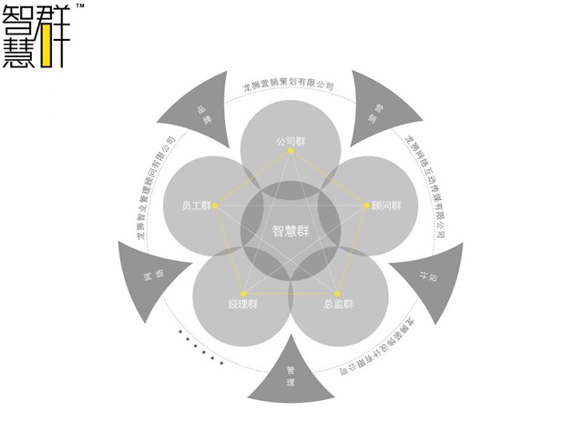 龍獅品牌定位策劃