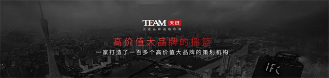 天進品牌戰略咨詢