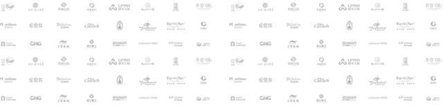 藍色之鷹品牌營銷策劃