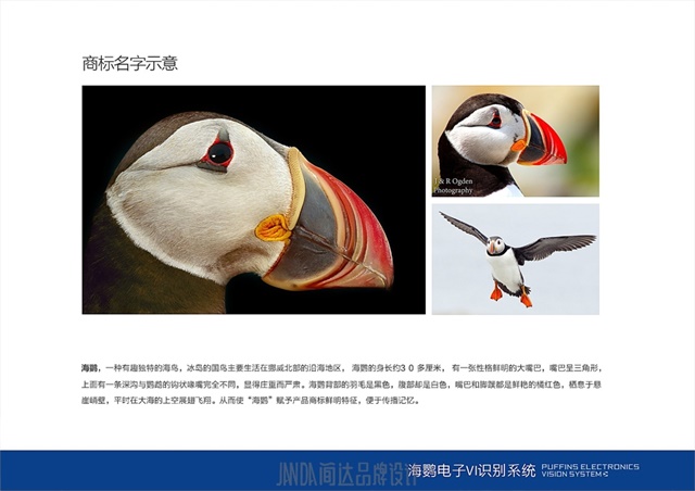 海鸚電子品牌VI設計