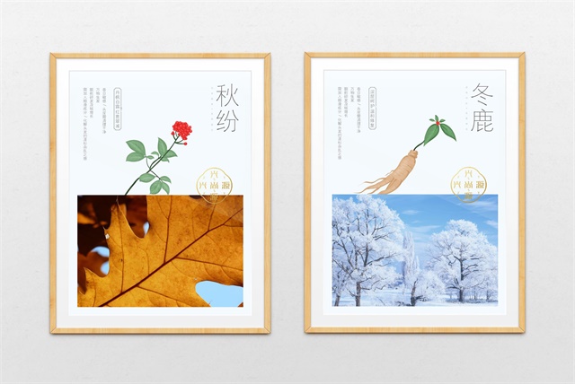 興尚源日化品牌包裝設計