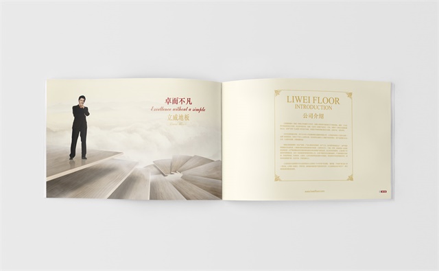 立威國際建材VI設計