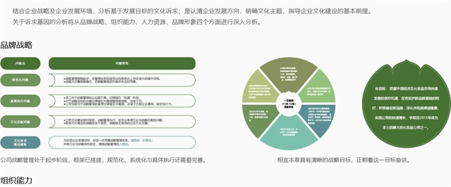 相宜本草品牌策劃