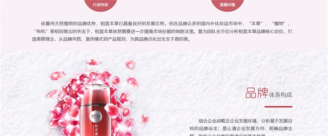 相宜本草品牌策劃