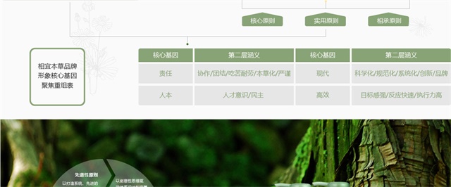 相宜本草品牌策劃