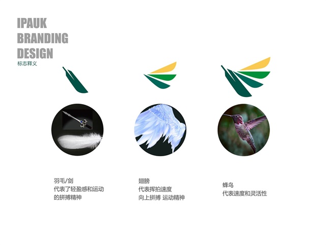 印度板球IPAUK品牌logo設計
