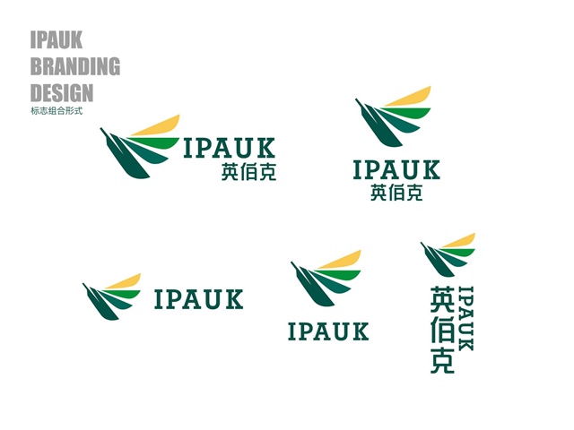 印度板球IPAUK品牌logo設計