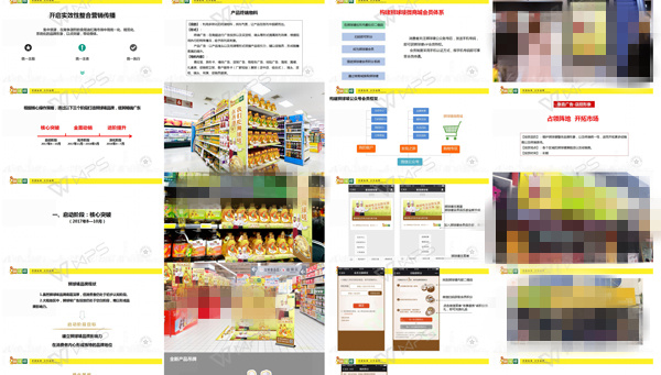 香港標準,百年品牌 獅球嘜食用油品牌策劃全案