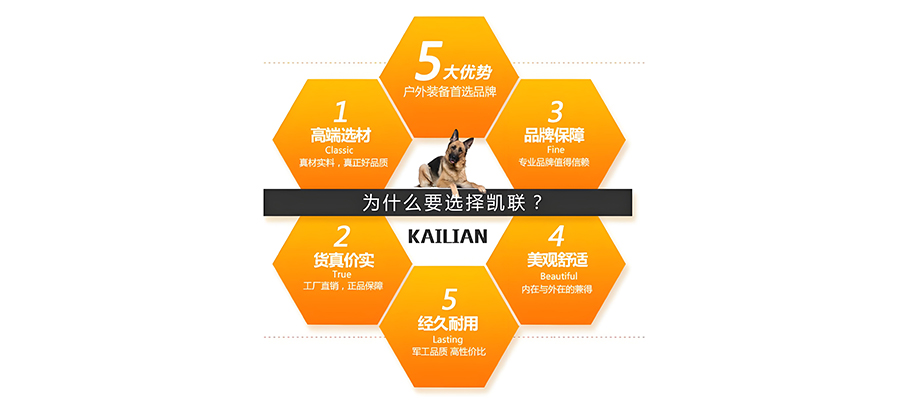 寵物用品如何做品牌策劃