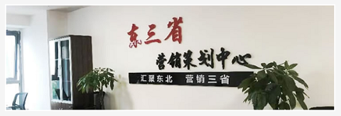 聚東企業營銷策劃,沈陽營銷策劃公司