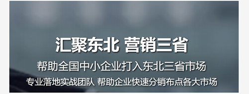 聚東企業營銷策劃,沈陽營銷策劃公司