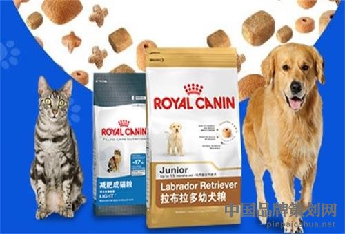 皇家寵物食品營銷戰略