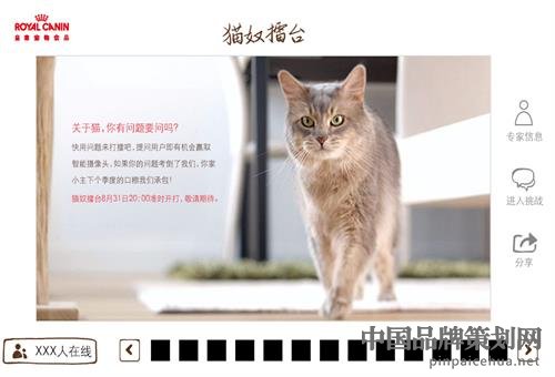 皇家寵物食品營銷戰略