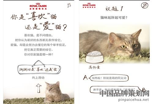 皇家寵物食品營銷戰略